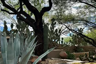 38601 N Rising Sun Rd, Carefree, AZ 85377 - Photo 37