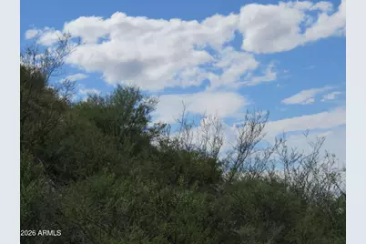 Tbd E Taylor Pass #22, Saint David, AZ 85630 - Photo 5