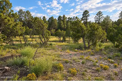 1895 W Aspen Lane, Overgaard, AZ 85933 - Photo 37