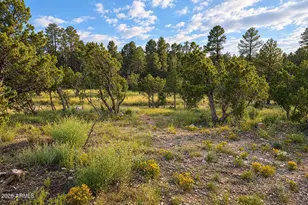 1895 W Aspen Ln, Overgaard, AZ 85933 - Photo 37