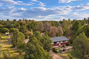 1895 W Aspen Ln, Overgaard, AZ 85933 - Photo 21