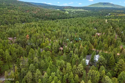 10 County Road -- #1033, Greer, AZ 85927 - Photo 31