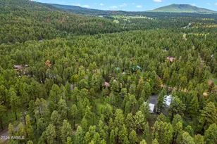 10 County Rd, Greer, AZ 85927 - Photo 31