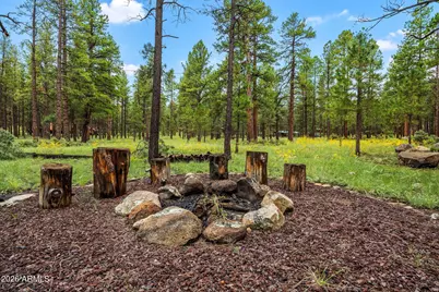 10 County Road -- #1033, Greer, AZ 85927 - Photo 27
