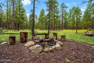 10 County Rd, Greer, AZ 85927 - Photo 27