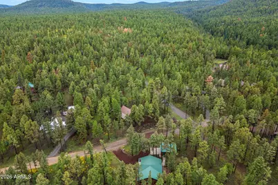 10 County Road -- #1033, Greer, AZ 85927 - Photo 29