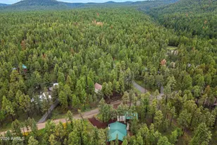 10 County Rd, Greer, AZ 85927 - Photo 29