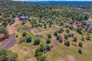 5337 Alserita Rd, Show Low, AZ 85901 - Photo 31
