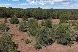 21 Co Rd 3183, Vernon, AZ 85940 - Photo 1
