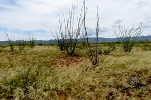3542 S Lombardi Ln, Tombstone, AZ 85638 - Photo 3