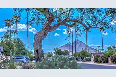 8637 E Camelback Road, Scottsdale, AZ 85251 - Photo 5