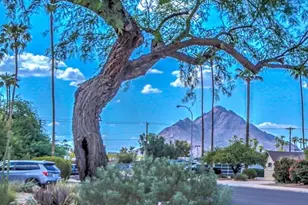 8637 E Camelback Rd, Scottsdale, AZ 85251 - Photo 5