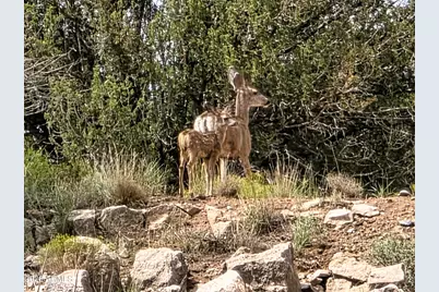 4630 E Deer Run Trail #9, Rimrock, AZ 86335 - Photo 45