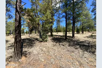 4199 Starlight Drive #613, Happy Jack, AZ 86024 - Photo 5