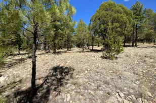 4199 Starlight Dr, Happy Jack, AZ 86024 - Photo 1