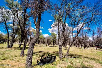 69 Abc Road, Patagonia, AZ 85624 - Photo 79