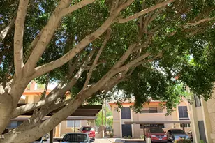 10410 N Cave Creek Rd, Phoenix, AZ 85020 - Photo 17