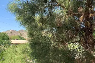 10410 N Cave Creek Rd, Phoenix, AZ 85020 - Photo 1