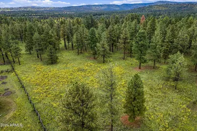 38650 State Route 373 -- #-, Greer, AZ 85927 - Photo 15