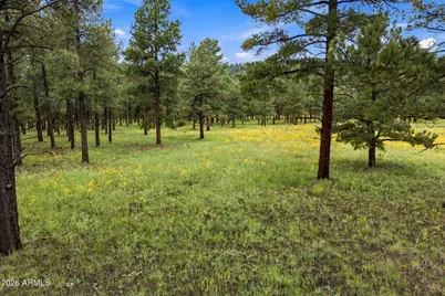 38650 State Route 373 -- #-, Greer, AZ 85927 - Photo 5