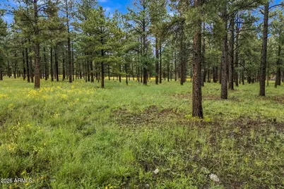 38650 State Route 373 -- #-, Greer, AZ 85927 - Photo 3