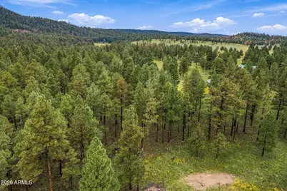38650 State Route 373 -- #-, Greer, AZ 85927 - Photo 17