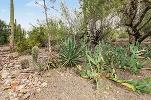 6454 E Paso Nuevo Dr, Cave Creek, AZ 85331 - Photo 13