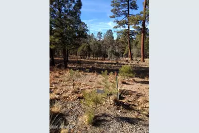 4357 Juniper Drive #100, Happy Jack, AZ 86024 - Photo 1