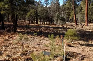 4357 Juniper Dr, Happy Jack, AZ 86024 - Photo 1