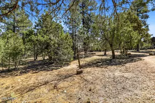 5039 Winter Hawk Ct, Lakeside, AZ 85929 - Photo 1