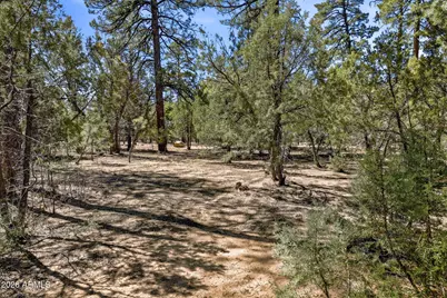 5039 Winter Hawk Court #69, Lakeside, AZ 85929 - Photo 3