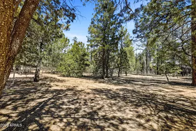 5039 Winter Hawk Court #69, Lakeside, AZ 85929 - Photo 5