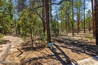 5039 Winter Hawk Court #69, Lakeside, AZ 85929 - Photo 7