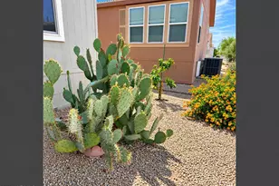 3901 E Pinnacle Peak Rd --, Phoenix, AZ 85050 - Photo 33