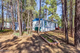 2901 W Whipple St, Show Low, AZ 85901 - Photo 3