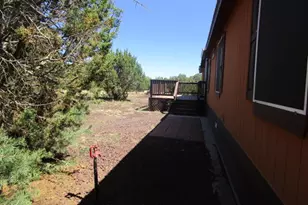 53 County Rd, Concho, AZ 85924 - Photo 3