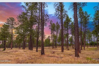 216 W Standage Drive, Payson, AZ 85541 - Photo 23