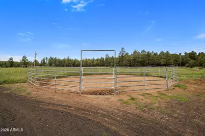 422 Sponseller  Siding Road, Lakeside, AZ 85929 - Photo 41