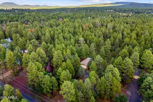 431 Willow Run, Lakeside, AZ 85929 - Photo 33