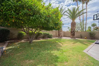 4613 E Desert Cactus Street, Phoenix, AZ 85032 - Photo 41