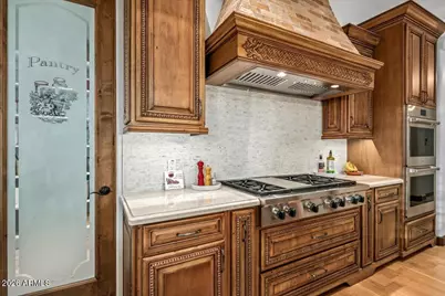 39257 N 104th Way, Scottsdale, AZ 85262 - Photo 19