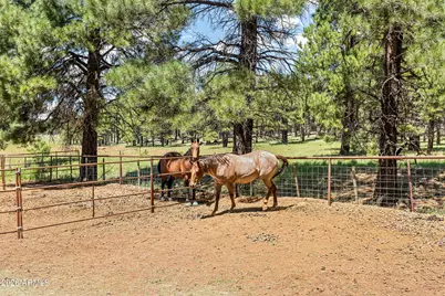 1459 N Transwestern Pump Road, Bellemont, AZ 86015 - Photo 81