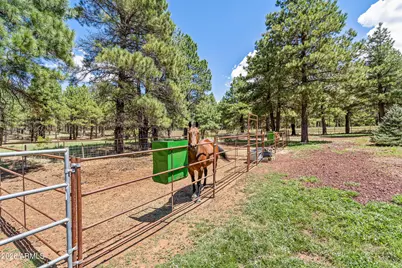 1459 N Transwestern Pump Road, Bellemont, AZ 86015 - Photo 83