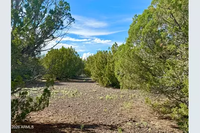 8322 Navajo Drive #-, Show Low, AZ 85901 - Photo 9