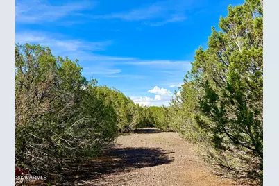 8322 Navajo Drive #-, Show Low, AZ 85901 - Photo 7