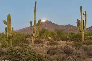 25150 N 96th St, Scottsdale, AZ 85255 - Photo 43