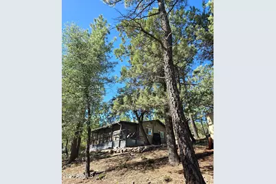 3483 N Hillside Road, Pine, AZ 85544 - Photo 3