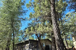 3483 N Hillside Rd, Pine, AZ 85544 - Photo 3