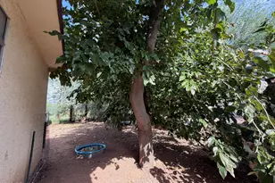 475 E Tonto Creek Trail, Tonto Basin, AZ 85553 - Photo 13