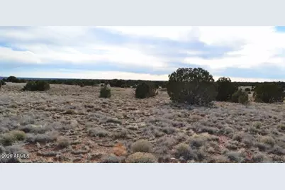 105 County Rd N9191 -- #-, Concho, AZ 85924 - Photo 11